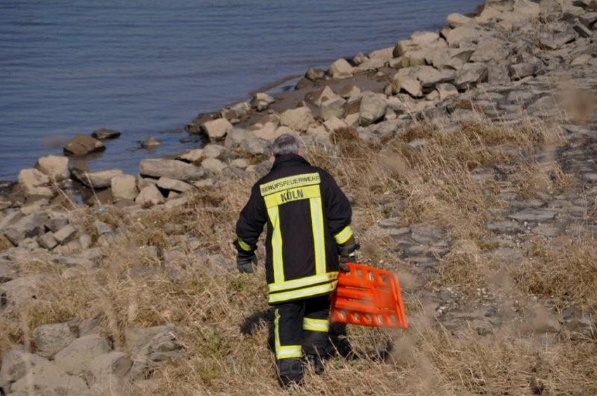 Einsatz BF Koeln Person im Rhein Rheinkassel P16.jpg